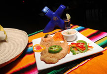 Pez Caribe -  Arriba Tequila Bar  - Cabo San Lucas - Photo Gallery