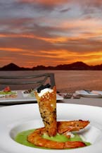 Jumbo Shrimp  With Spinach Sauce served at Sunset da Mona Lisa Italian Restaurant - Cabo San Lucas