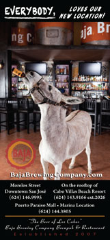 Baja Brewing Company - Ad Proofs - Los Cabos Magazine #31 - Cabo San Lucas, Los Cabos