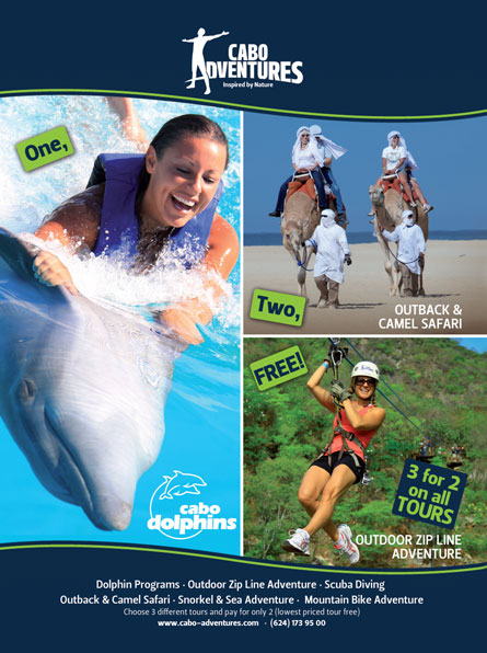 http://www.loscabosguide.com/cabodolphins/