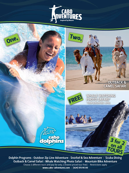 http://www.loscabosguide.com/cabodolphins/