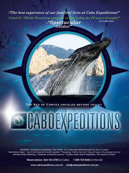 Cabo Expeditions - Ad Proofs - Los Cabos Magazine #31 - Cabo San Lucas, Los Cabos