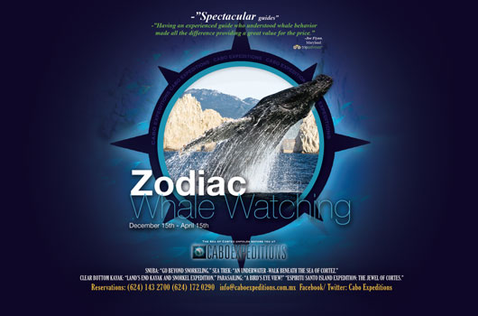 Cabo Expeditions - Ad Proofs - Los Cabos Magazine #32 - Cabo San Lucas, Los Cabos