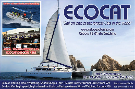 Ecocat -Ad Proof - Los Cabos Magazine Issue 29 - Cabo San Lucas