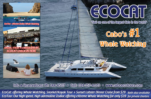Ecocat -Ad Proof - Los Cabos Magazine Issue 31 - Cabo San Lucas