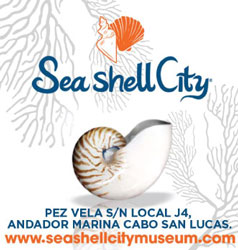 Sea Shell City - Ad Proofs - Los Cabos Magazine #32 - Cabo San Lucas, Los Cabos