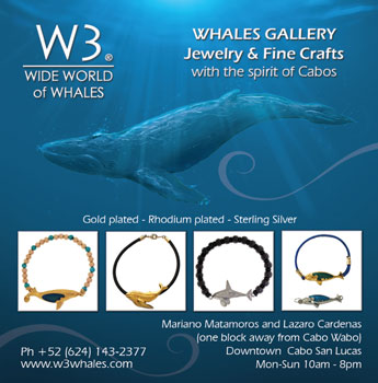 Whale Gallery - Ad Proofs - Los Cabos Magazine #31 - Cabo San Lucas, Los Cabos