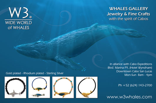 Whale Gallery - Ad Proofs - Los Cabos Magazine #32 - Cabo San Lucas, Los Cabos