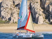 The Perfect Sail – LCM 50 Winter 2019