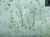 road-web-13