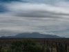 road-web-23