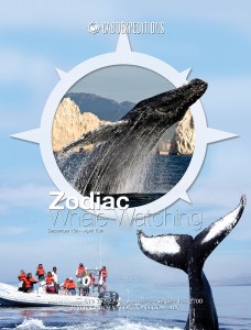 Cabo Expeditions_39