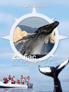 Cabo Expeditions_42