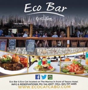 Eco Bar_42