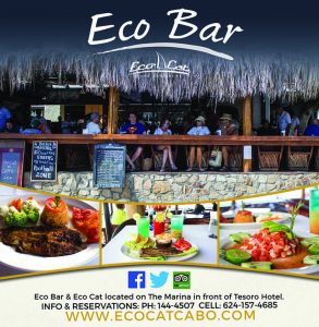 Eco Bar_44
