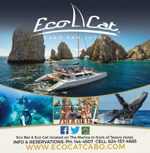 Eco Cat