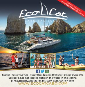 Eco Cat_44