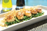 LCM 39      Photo:  - page 74 | Andrik Oecheler     Caption: The fried scallops at Dos Mares Marina Grill & Bar are eye catching as the yachts that park in front of the restaurant.