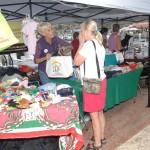 Los Cabos Humane Society booth at the Circuito Cultural Marina Cabo San Lucas - 24 January 2015.