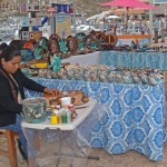 Circuito Cultural Marina Cabo San Lucas - 24 January 2015. 