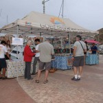 Circuito Cultural Marina Cabo San Lucas - 24 January 2015