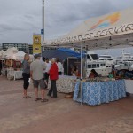 Circuito Cultural Marina Cabo San Lucas - 24 January 2015