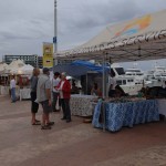 Circuito Cultural Marina Cabo San Lucas - 24 January 2015
