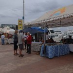 Circuito Cultural Marina Cabo San Lucas - 24 January 2015