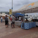 Circuito Cultural Marina Cabo San Lucas - 24 January 2015