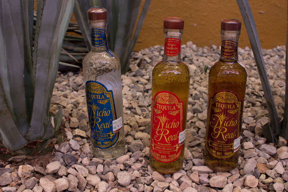 Free Tequila Tour_26May2015_RP_12 - Los Cabos Magazine