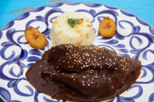 Mole Poblano.- Masterpiece of the Mexican cuisine savory dish of chicken covered in a rich sauce of dried ancho, mulato & pasilla peppers; a multitude of seeds, spices & a hint of chocolate. (approx. 35 ingredients) A feast for your palate!