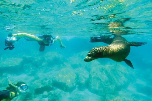 Espiritu Santo Island Expedition II