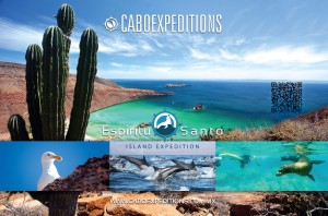 Cabo Expeditions_1|2h