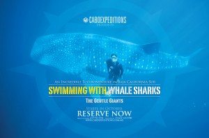 CaboExpeditions_1|2h