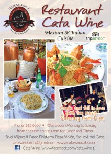Cata Wine_1|4v