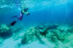 Explore what lies beneath with Cabo Expeditions.