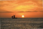 The technicolor sunset over the Cabo San Lucas Bay will take your breath away.