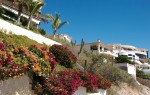 These Pedregal properties have major curb appeal