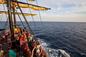 IMG_4340_cabo_pictures-cabo-photographer-X3