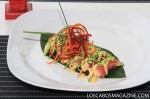 Curricanes – Rollitos de atún con verduras rayadas.