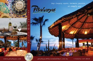 Pitahayas_1|2h