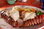 Grilled lobster order (Served with baked potato & vegetables)