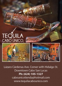 Tequila Cabo Único_37