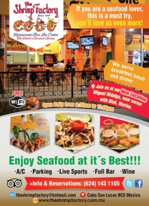 The Shrimp factory_38