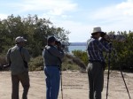 birding-los-cabos-photo-safari