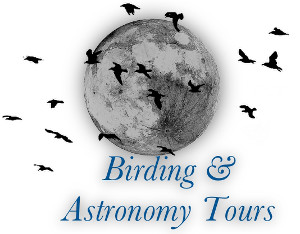 birding_logo