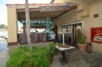 Arts & Sushi Cabo
