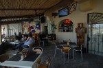 Olé Olé on the Marina, Cabo