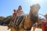 camel-quest-007