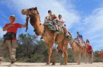 camel-quest-017
